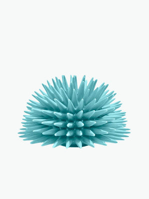 Ricciocaprese Hedgehog Decor Blue Aquamarine